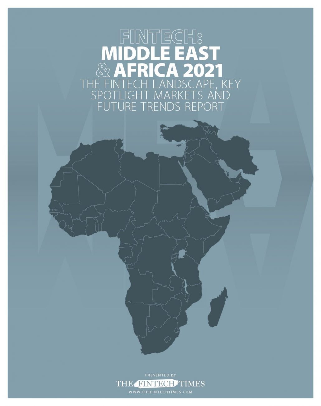 middle east africa fintech report 2021