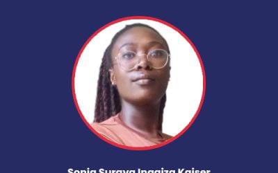 Africa’s Hidden Assets: To What Extent Are FinTech Infrastructures Facilitating Holistic Digital Harmonization in Africa?